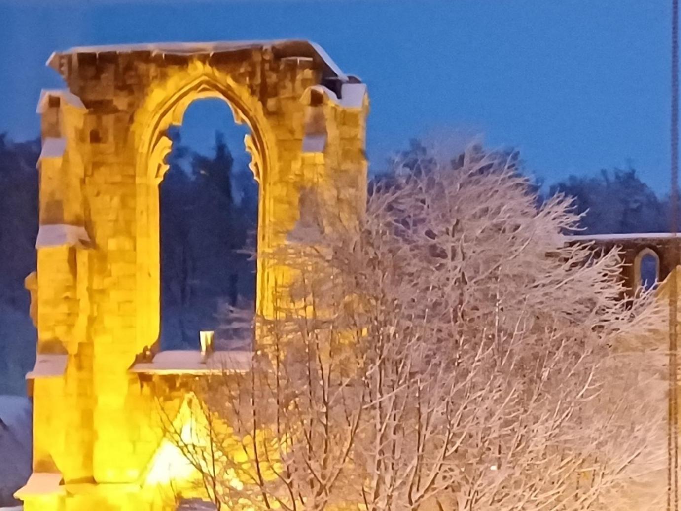 Ferienwohnungen Klosterblick Walkenried Dış mekan fotoğraf