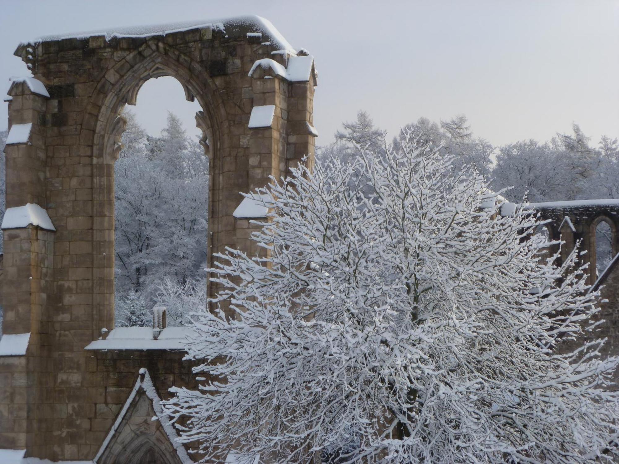 Ferienwohnungen Klosterblick Walkenried Dış mekan fotoğraf