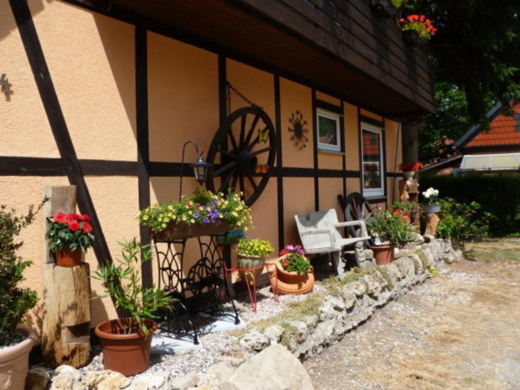 Ferienwohnungen Klosterblick Walkenried Dış mekan fotoğraf