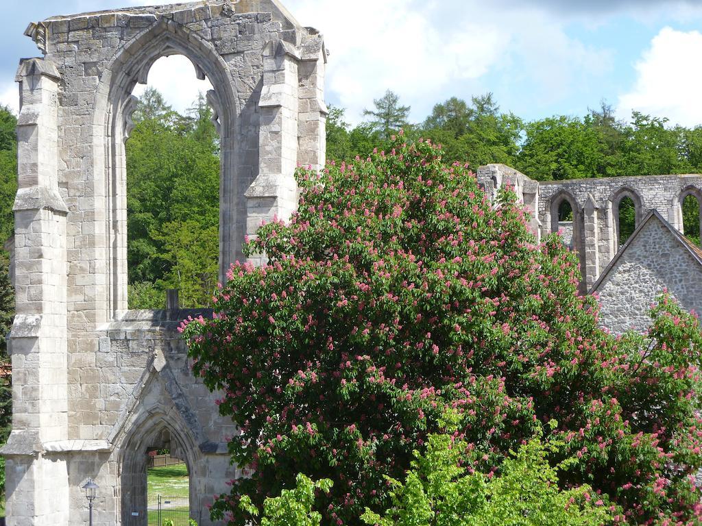 Ferienwohnungen Klosterblick Walkenried Dış mekan fotoğraf