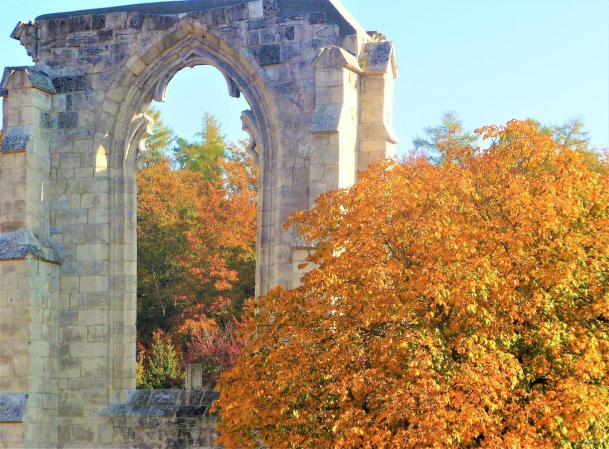 Ferienwohnungen Klosterblick Walkenried Dış mekan fotoğraf