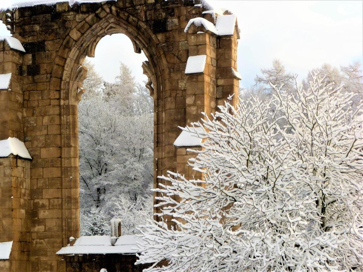 Ferienwohnungen Klosterblick Walkenried Dış mekan fotoğraf